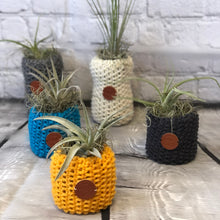Load image into Gallery viewer, Plant Pot Cover Pattern