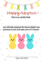 Load image into Gallery viewer, Marshmallow Bunny Rabbit aka Peeps Pattern