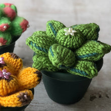 Load image into Gallery viewer, Loom knit succulent cactus plant gift pattern  Copyright Loomahat