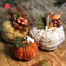 Load image into Gallery viewer, Three (3) Pumpkins Patterns