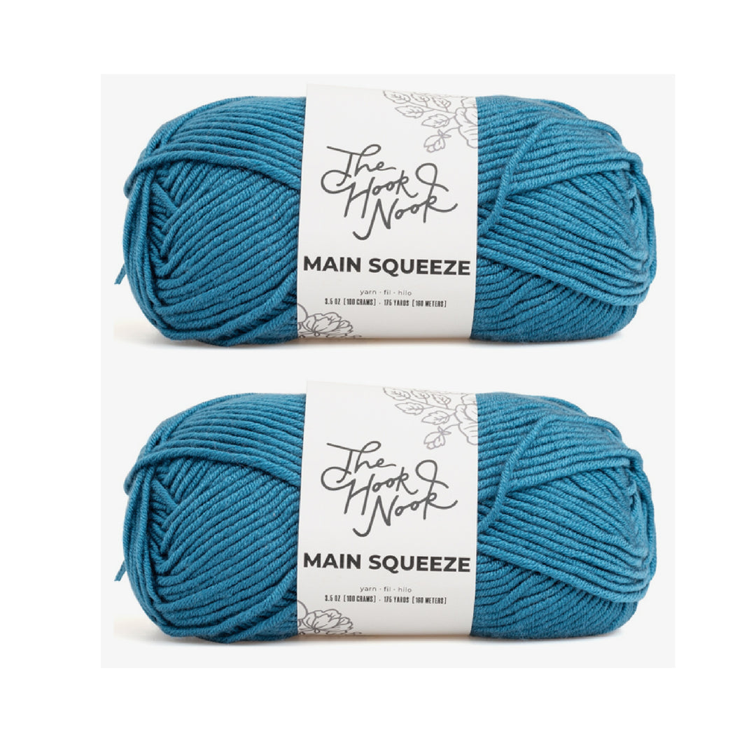 2 Skeins Hook Nook Main Squeeze Yarn Peacock Feathers