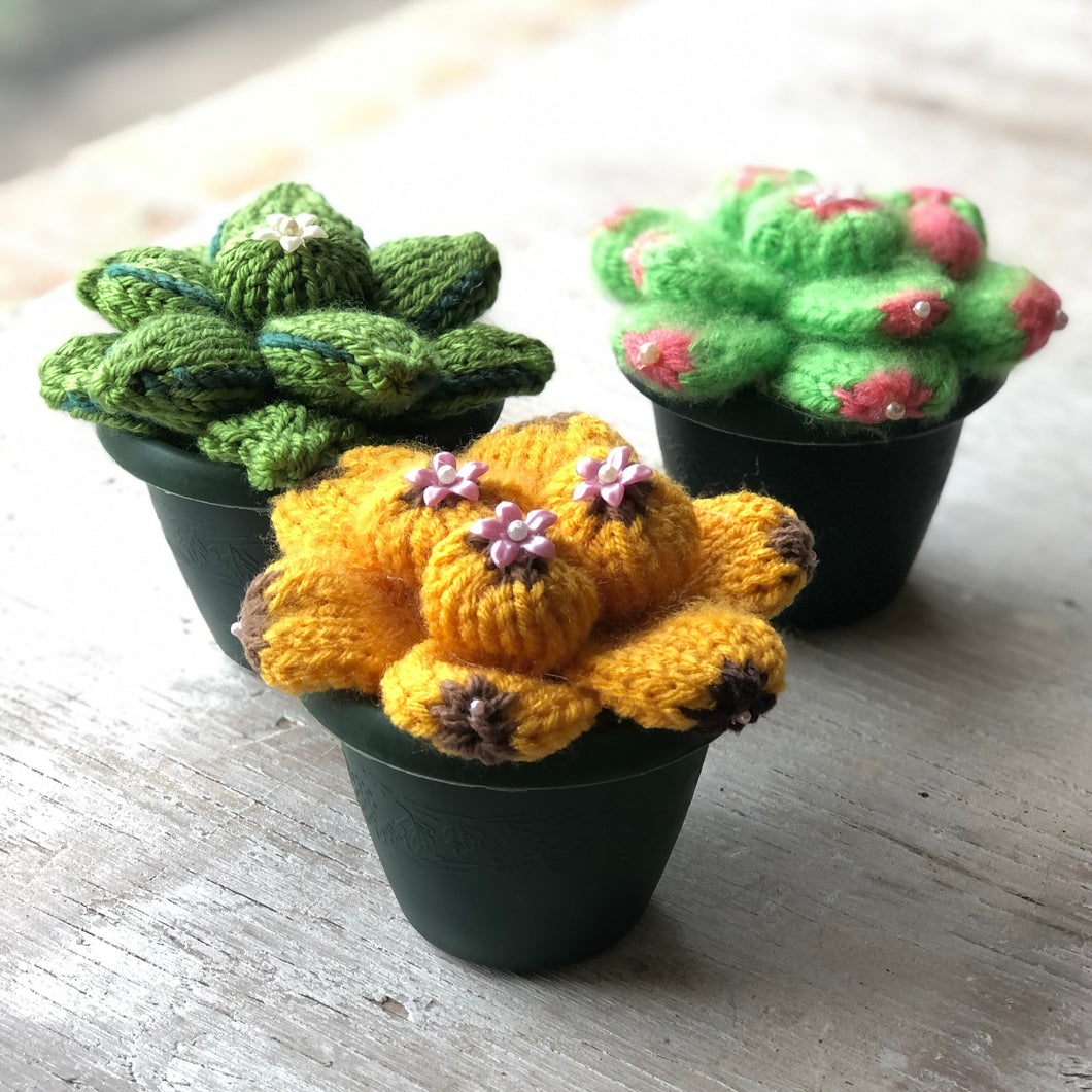 succulent plants etsy Loom Knit Succulent Cactus Plants Flower Pattern – Loomahat.Store