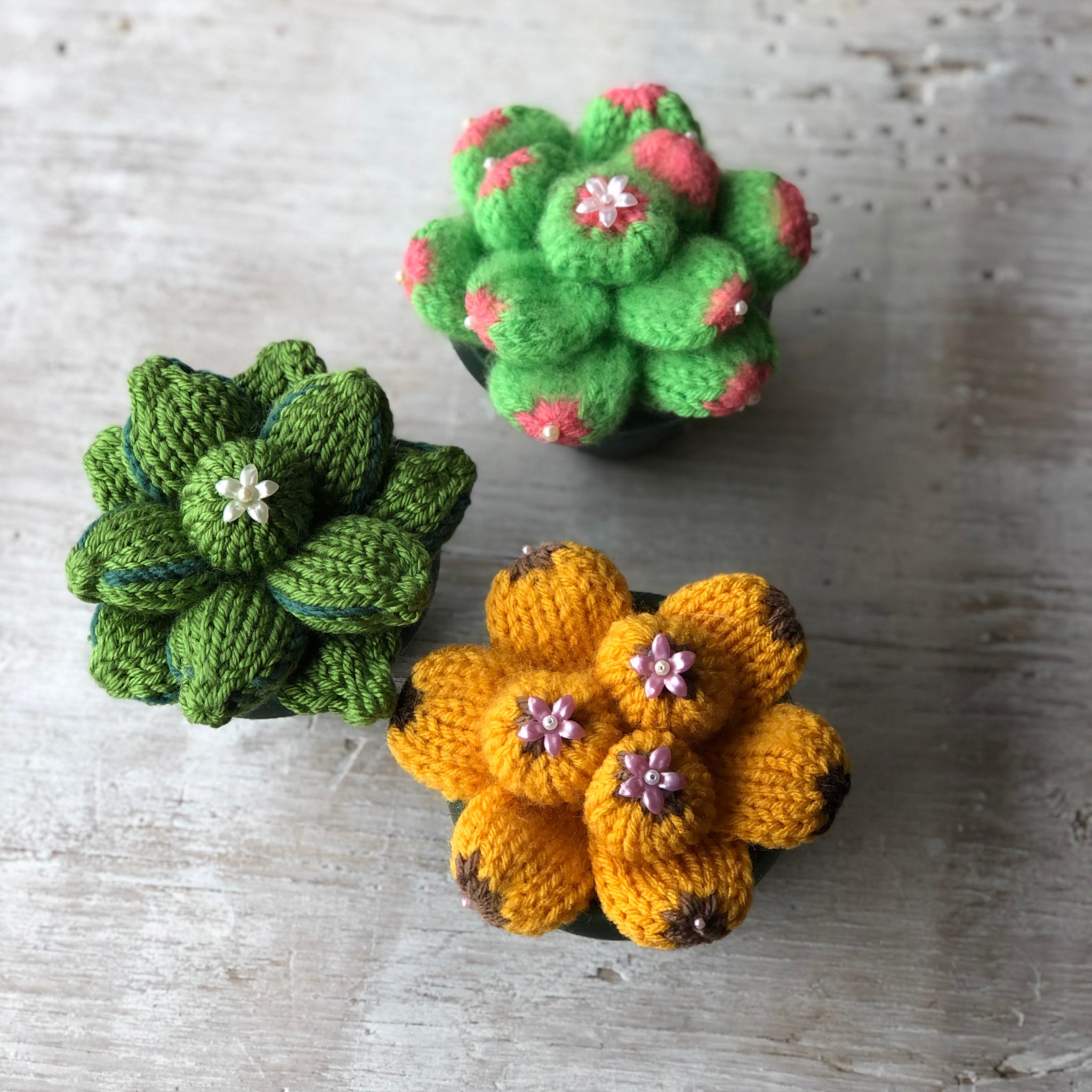 Loom Knit Succulent Cactus Plants Flower Pattern – Loomahat.Store