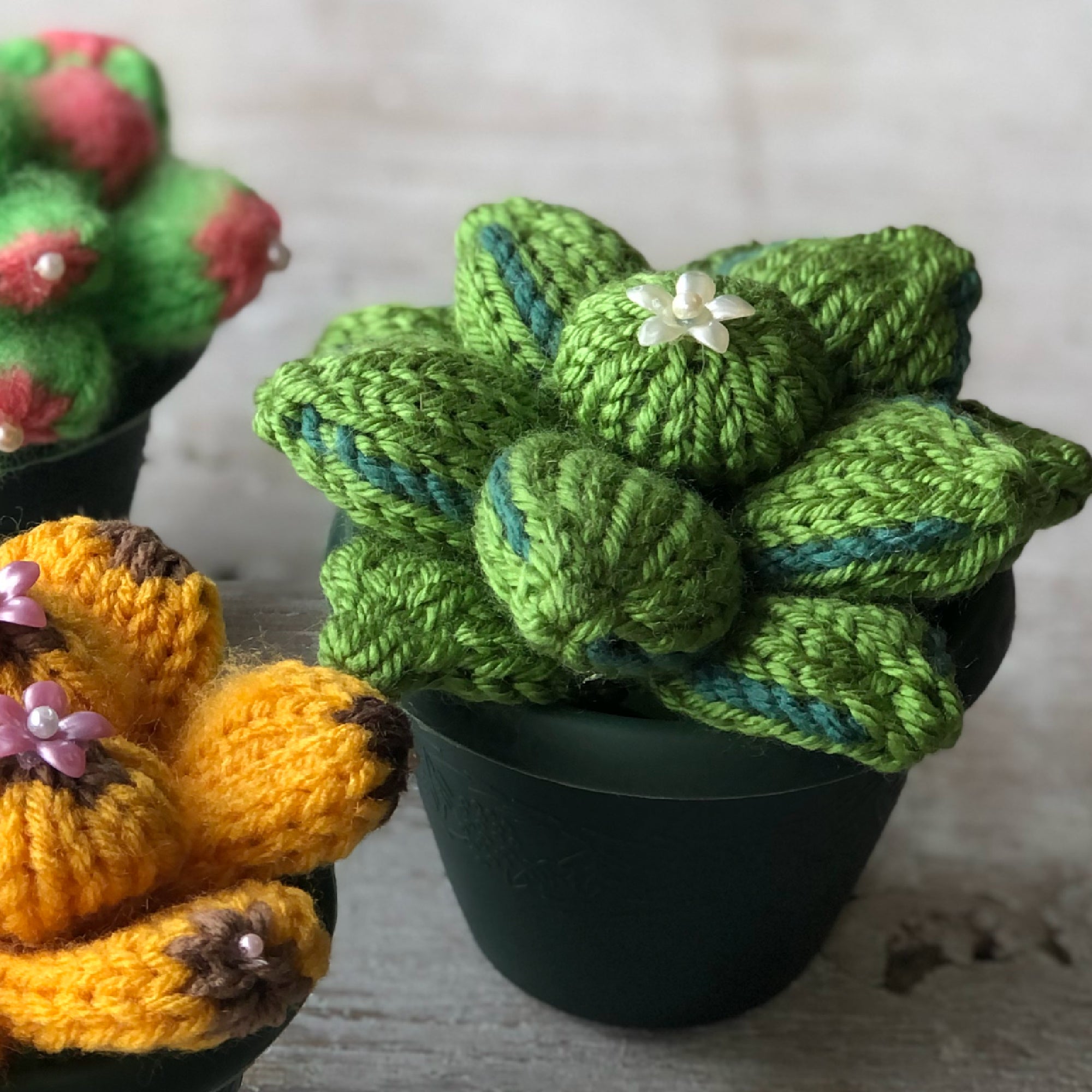 Loom Knit Succulent Cactus Plants Flower Pattern