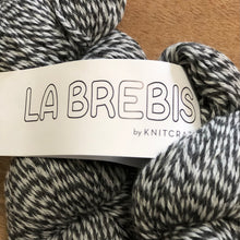Load image into Gallery viewer, Gray and White Hand Dyed Finger Weight aka Brebis Colorway Gray Twist | Marino Wool | KnitCrate
